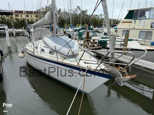 Morgan 384 Spesifikasjoner og anmeldelser